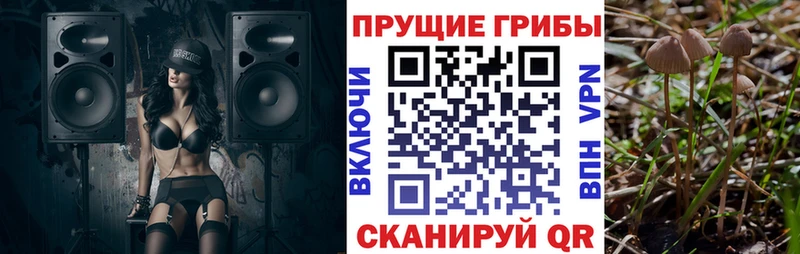 Псилоцибиновые грибы GOLDEN TEACHER Набережные Челны